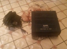 Modem "ZyXel"