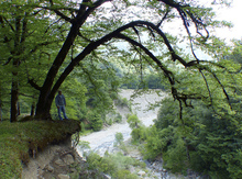 18 sot torpaq sahəsi, İsmayıllı r.