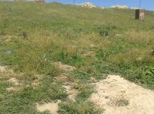 12 sot torpaq sahəsi, Gədəbəy r. Slavyanka kən