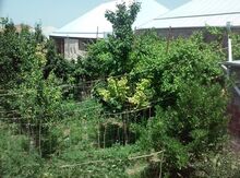 Həyət evi, Göygöl r.