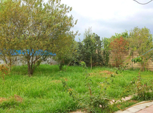 Həyət evi, Astara ş.