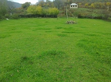 28 sot torpaq sahəsi, İsmayıllı r.