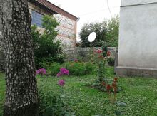 Bağ evi kirayə verilir, Zaqatala r.