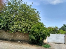 Həyət evi, Xaçmaz r.