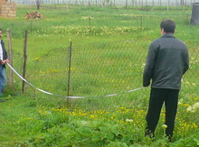 18 sot torpaq sahəsi, Şamaxı r.