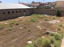 12 sot torpaq sahəsi,Badamdar qəs.