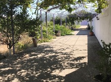 Bağ evi kirayə verilir, Buzovna qəs.