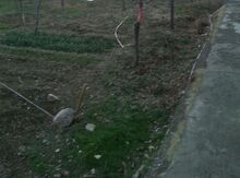 7 sot torpaq sahəsi, Naxçıvan ş.
