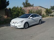 Hyundai Sonata, 2010 il