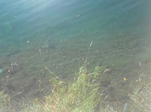 2.5 sot torpaq sahəsi, Yeni Qobu qəs.