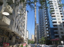 Ofis icarəyə verilir, Nizami m.