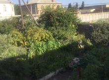 2.5 sot torpaq sahəsi, H.Aslanov qəs.