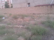 1 sot torpaq sahəsi, Binəqədi qəs.