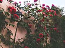 Həyət evi, Sabunçu r.