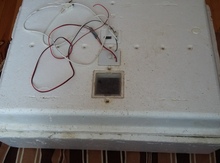 Inkubator aparatı
