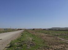 264 sot torpaq sahəsi, Abşeron r.