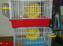 Qəfəs