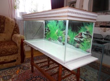 Akvarium