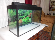 Akvariumlar