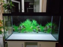 Akvarium