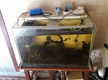 Akvarium