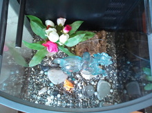 Akvarium