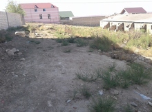 3 sot torpaq sahəsi,Masazır qəs.