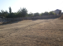 3 sot torpaq sahəsi, Saray qəs.
