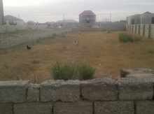 5 sot torpaq sahəsi, Binə qəs.