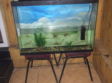Akvarium