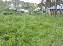 18 sot torpaq sahəsi, Şamaxı r.