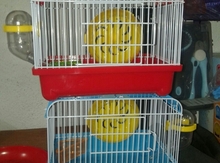 Qəfəs