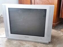 Televizor