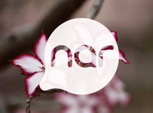 Nar nömrə – 077-753-00-53