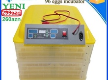 İnkubator