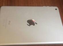 Apple iPad