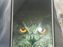 Samsung Galaxy S4