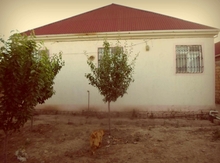 Həyət evi, Hökməli qəs.