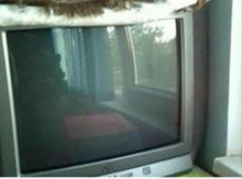 Televizor