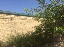 Həyət evi, Koroğlu m.
