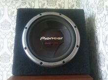 Basovik "Pioneer"
