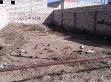 2 sot torpaq sahəsi, Şağan qəs.