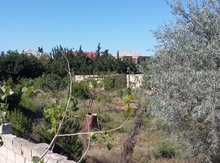 25 sot torpaq sahəsi, Bilgəh qəs.