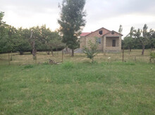 6 sot torpaq sahəsi, Qəbələ r.