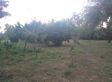 30 sot torpaq sahəsi, Qəbələ ray.
