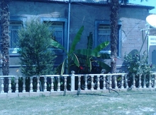 Həyət evi, Ağcabədi r.