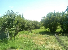 45 sot torpaq sahəsi, Cəlilabad r.