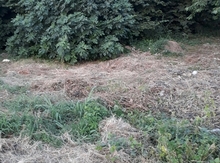 8 sot torpaq sahəsi, Quba r.