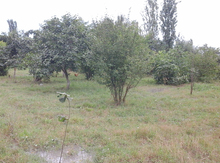 Həyət evi, Şabran r.
