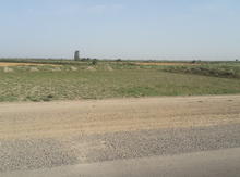 28 sot torpaq sahəsi, Salyan r.